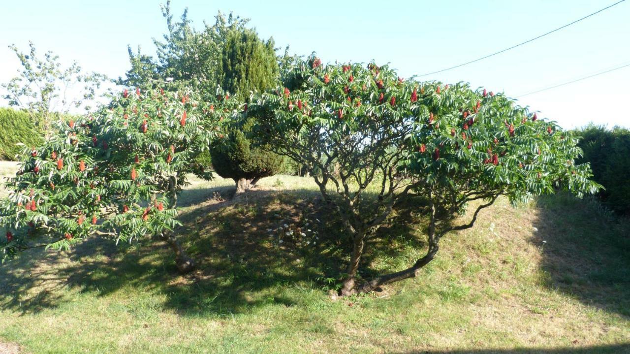 La Maison De Ners * Pertheville-Ners